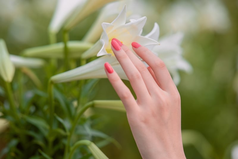 Mani-Pedi